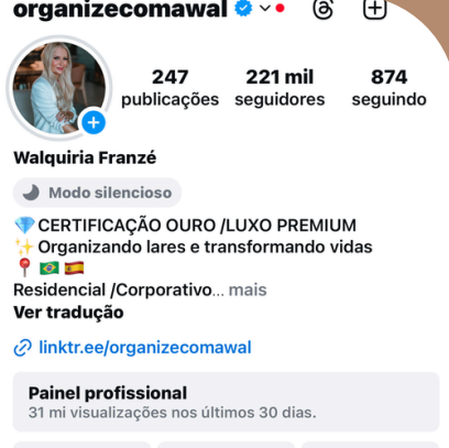 Print de desempenho de posts no Instagram da Wal